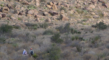 Hiking the Grapevine Hills Trail