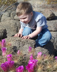 Boy looking at cactus flowers