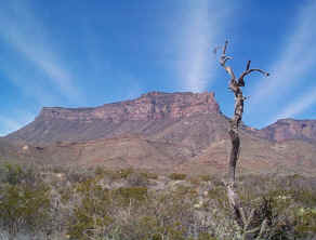 The South Rim as seen from the Dodson Trail