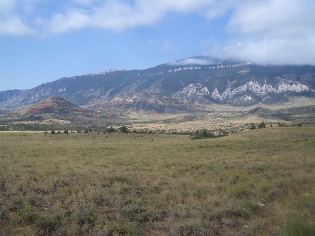 Grasslands in the Bighorn Basin