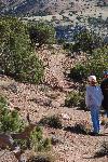 D. Child explores Sullivan's Knob Trail