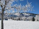 Winter frost on trees and snow on mountains