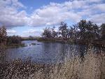 Bend in the Bighorn River