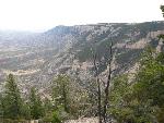 Pryor Mountains