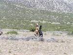 Meeting on the range