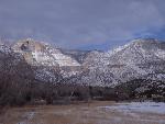 Ewing-Snell Landscape