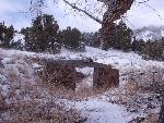The root cellar