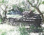 Ranch Shed