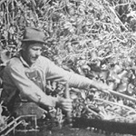 Early settler logging in the swamp.