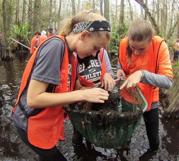 Three students wearing orange visibility vests stand in the water searching for dragonfly nymphs in a large net. Cypress trees and additional students are in the background.