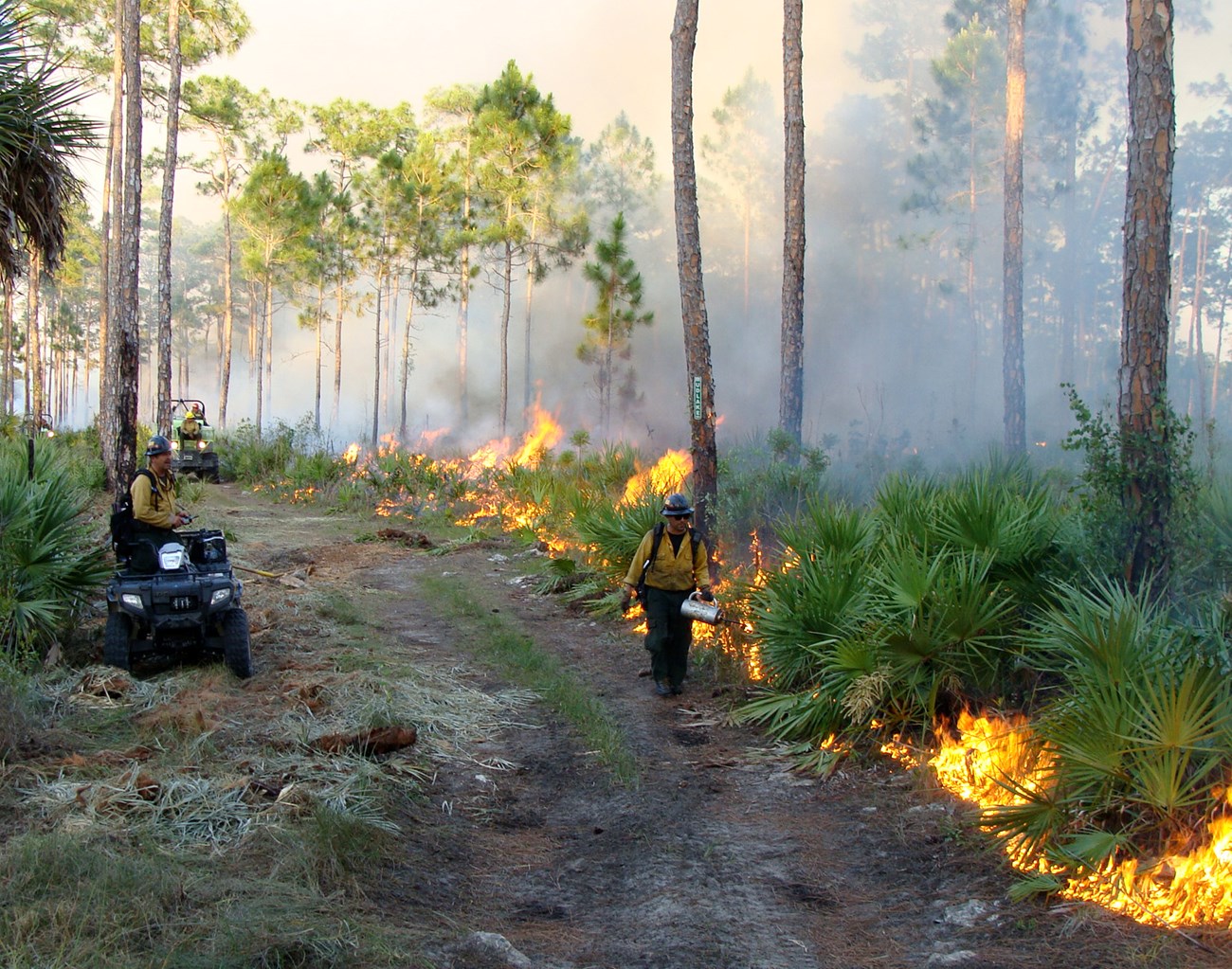 Firefighters maintaining a fireline
