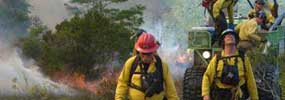 Fire crew on a prescribed fire at Big Cypress National Preserve.