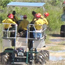 buggy transport