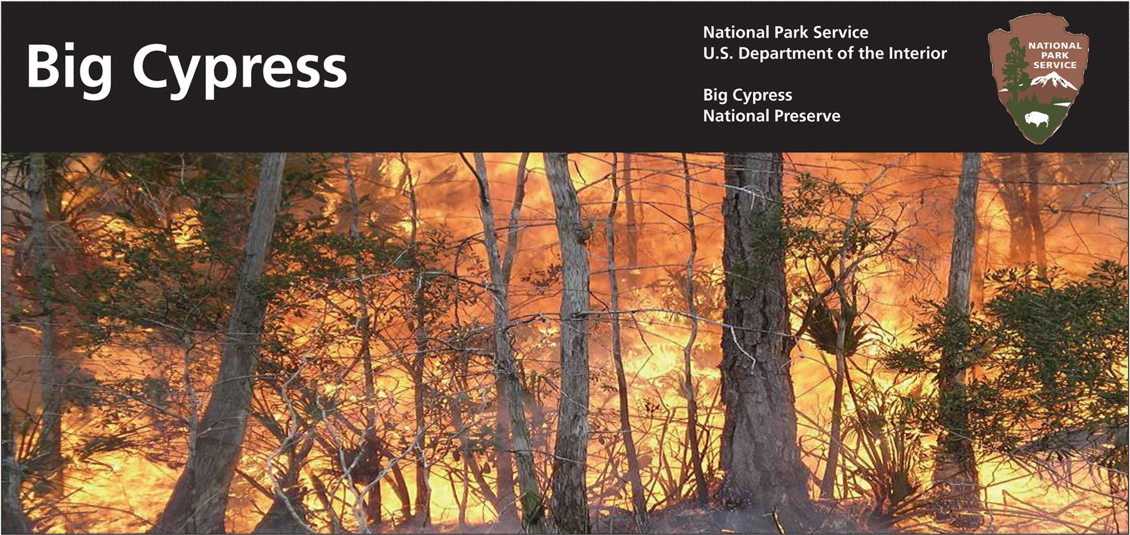 FINAL_BICY_Fire_HIRES-1
