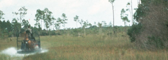 Airboat in preserve.
