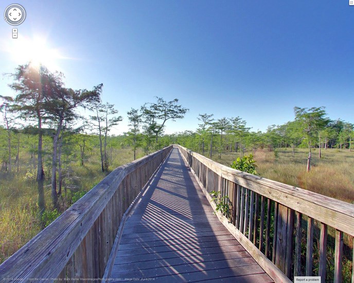 A wooden boardwalk with tall  grass and trees on either side stretches to the horizon.