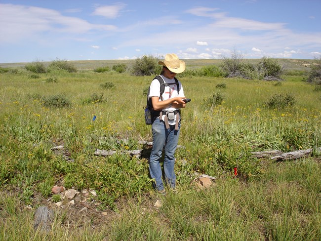 Citizen scientist collecting data in a meadow on a sunny day.