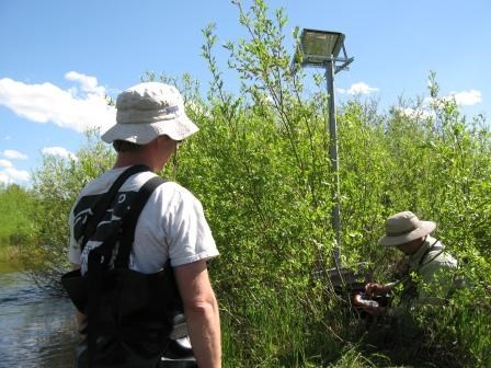 Two aquatic biologists collecting water quality data in a willow tree near a river.