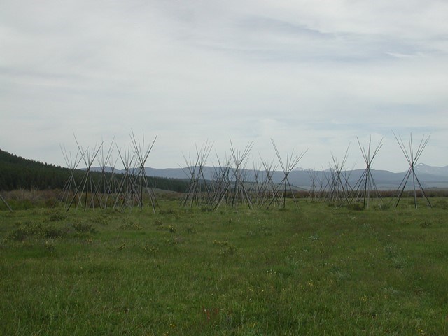 Tepee poles in Nez Perce camp site on a cloudy day.