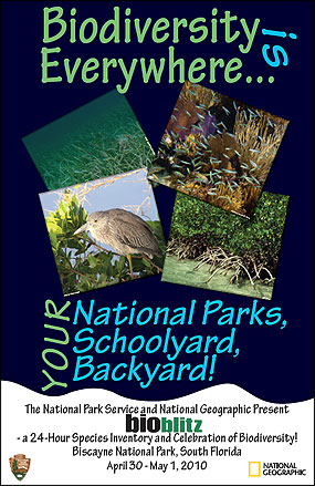 BioBlitz Biodiversity Poster