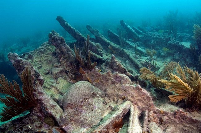 Remnants of a hull lies at the bottom of the ocean with corals growing in the wreckage