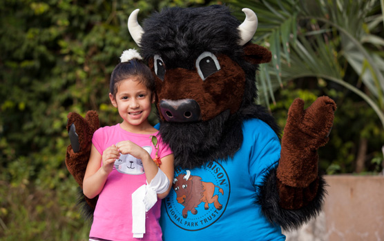 Buddy Bison Poses with a young park visitor.