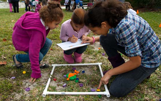 Three girls perform a survey of "snails" at the February 2010 BioBlitz Family Fun Fest.