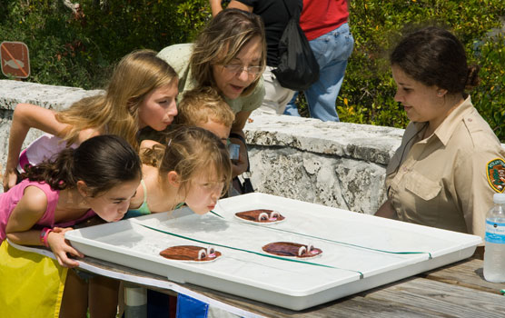 Participants in the April 2009 Family Fun Fest make models of marsh rabbits swim across the water.