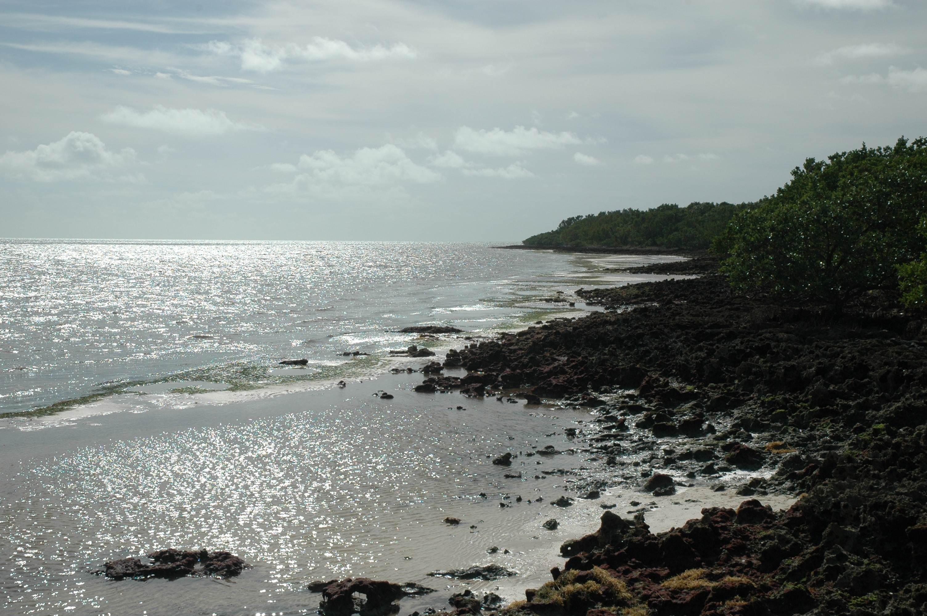 Ocean-side shoreline of Elliott Key.