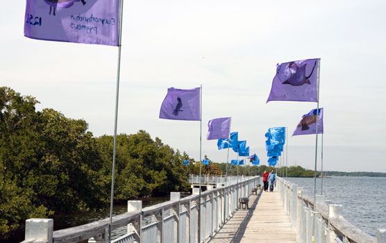 Blue and purple flags line both sides of the Convoy Point Jetty bridge.
