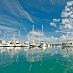Sailboats docked at Crandon Marina.