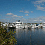 homestead_marina