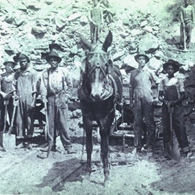 O&W BIG cut workers with mule