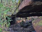 Copperhead Arch