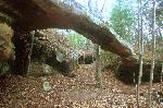 Needle Arch
