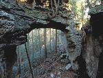 Split Bow Arch
