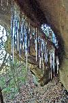 Ice Castle Arch