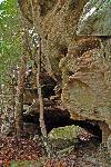 Zenith Arch