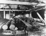 Stearns Sawmill Operation