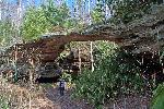 Sandstone arch located in Big South Fork