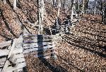 Split rail fence