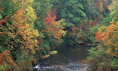 A river running between trees with brightly colored autumn leaves.