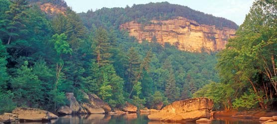 Big South Fork River gorge contains a wide range of habitats.