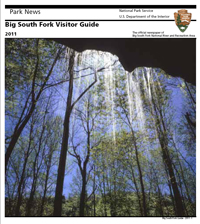 Document cover of trees