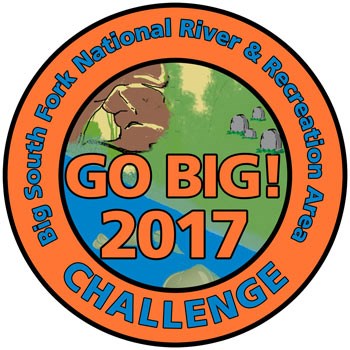Go Big 2017 Challenge Patch