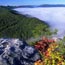 A spectacular view of fog rolling through Cumberland Gap in the fall.