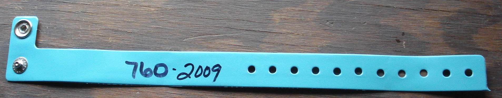 Season Pass Wristband