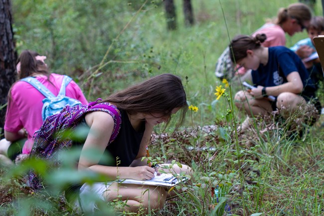 3 students crouch in the tall grass, writing in journals. The students are spread out, wearing backpacks, and there is a small cluster of yellow flowers between some of the students.