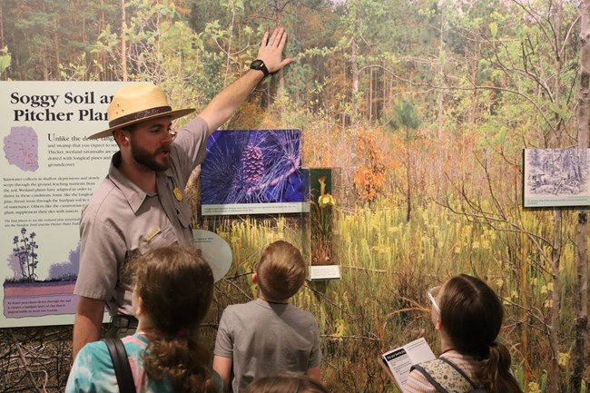 Three students face a park ranger while he interprets a visitor center a visitor center exhibit on pitcher plants growing in soggy soil.
