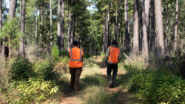 2 hunters wearing orange walking down a trail in the forest